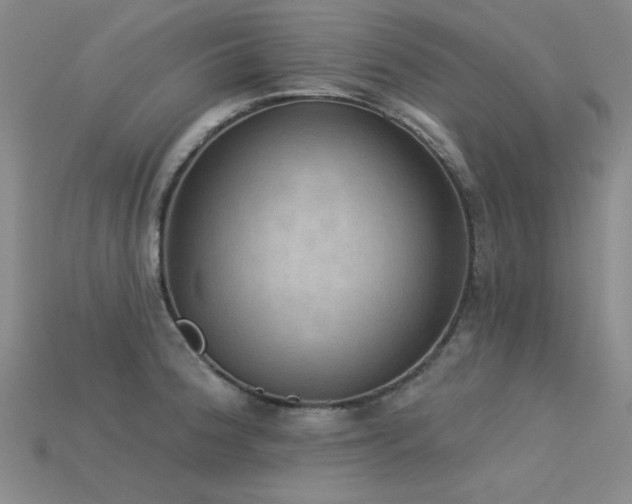 X0000115851188200911131545
