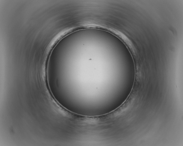 X0000115851191200911131545