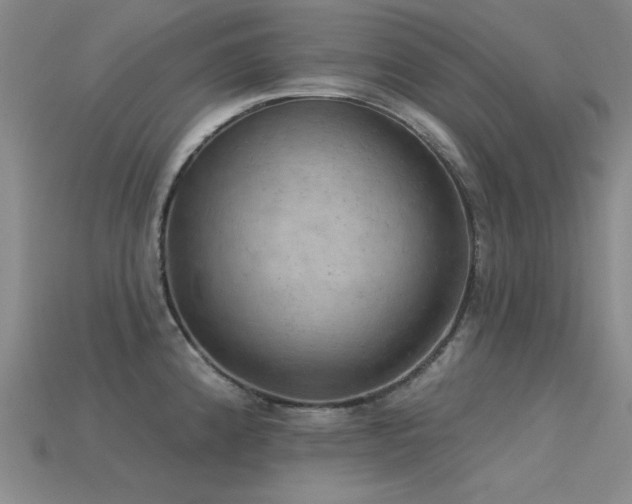X0000115851192200911131545