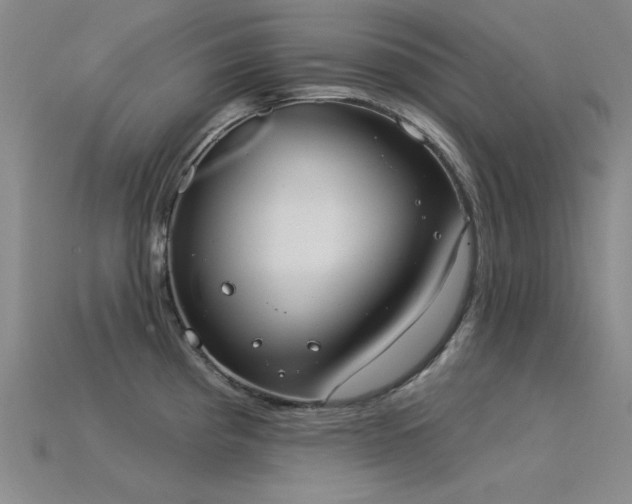 X0000115851193200911131545