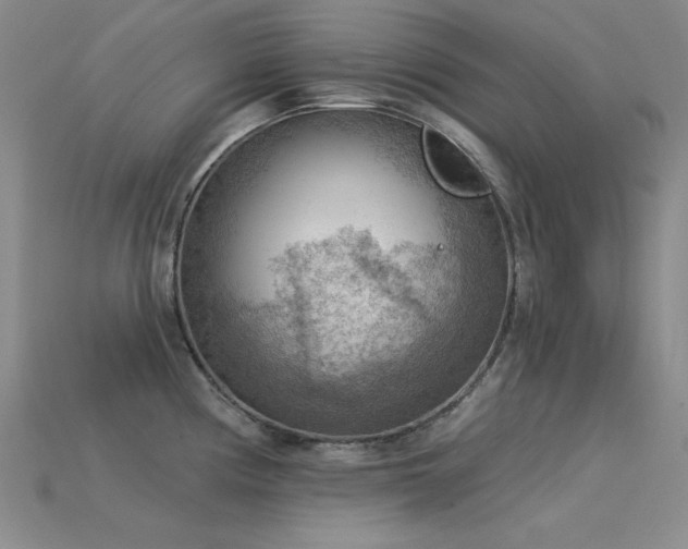 X0000115851194200911131545