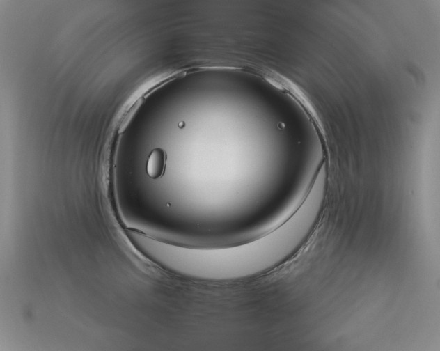 X0000115851195200911131545