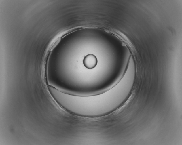X0000115851196200911131545