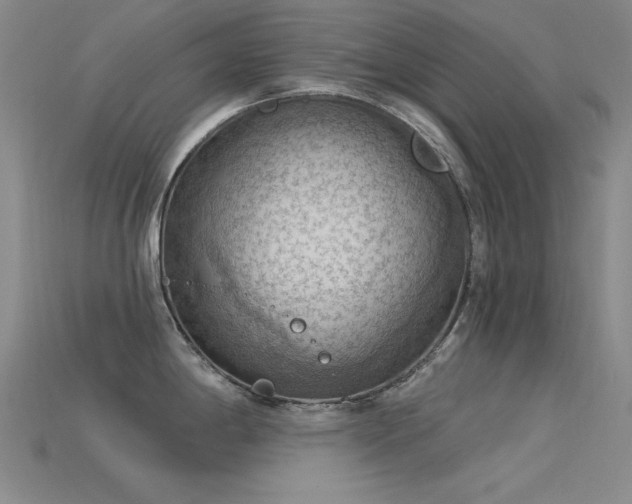 X0000115851198200911131545