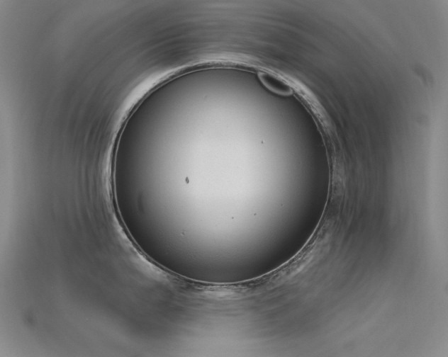 X0000115851199200911131545