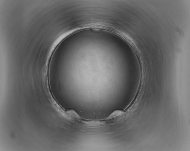 X0000115851200200911131545