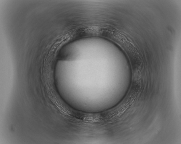 X0000115851201200911131544