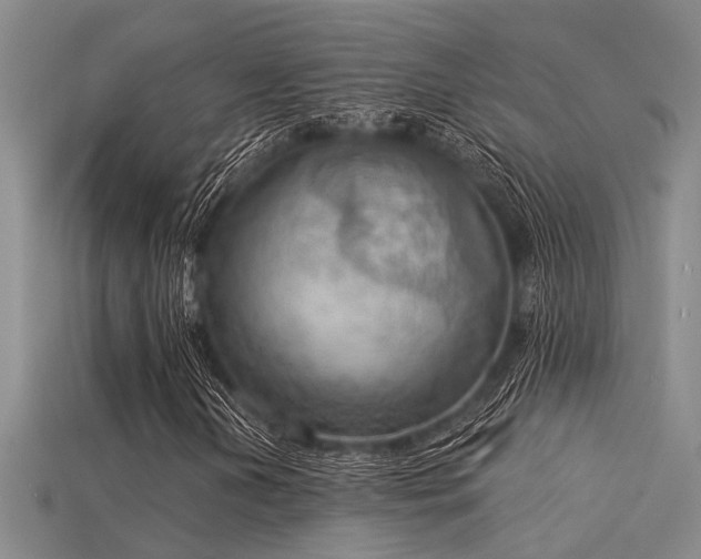 X0000115851202200911131544