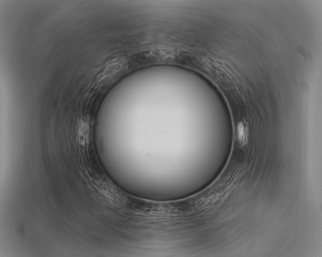 X0000115851203200911131544