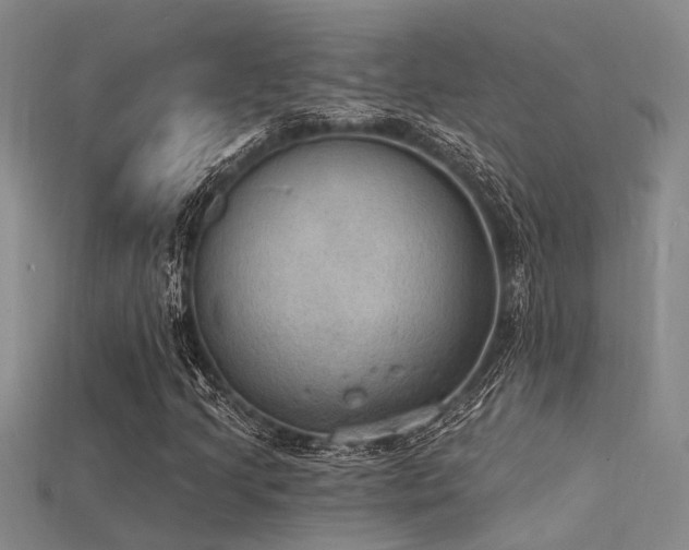 X0000115851205200911131544
