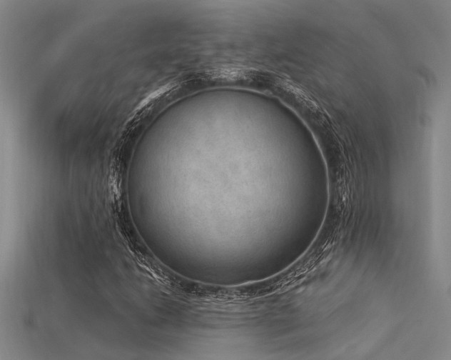 X0000115851206200911131544