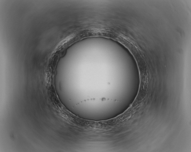 X0000115851207200911131544