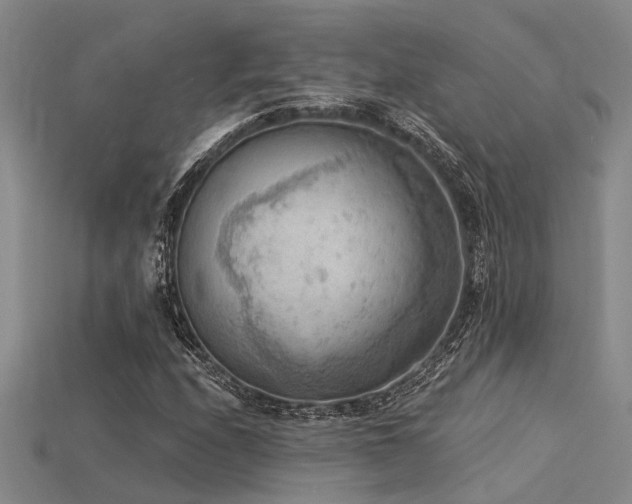 X0000115851208200911131544