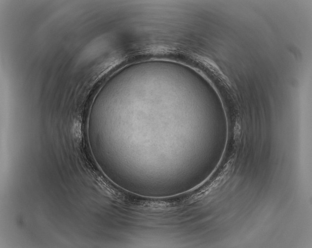 X0000115851209200911131544
