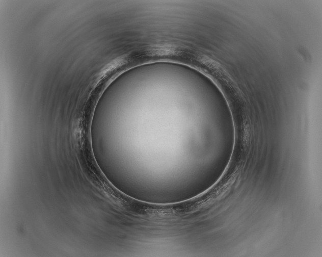 X0000115851210200911131544