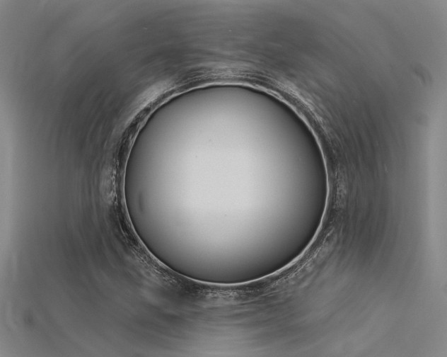 X0000115851211200911131544