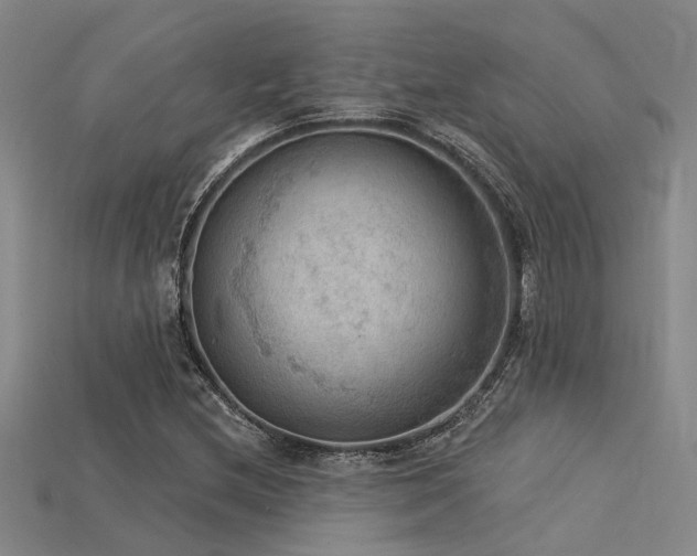 X0000115851212200911131544