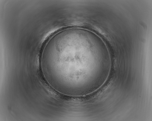 X0000115851214200911131544
