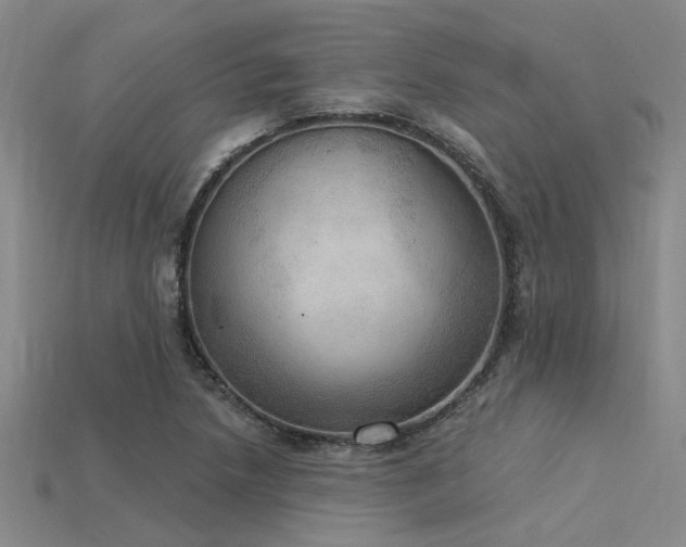 X0000115851218200911131544