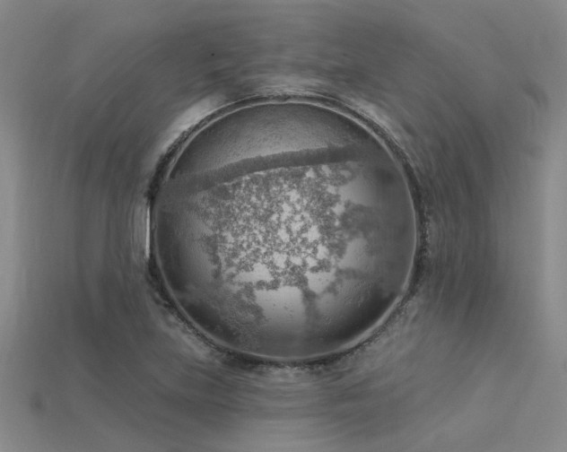 X0000115851219200911131544