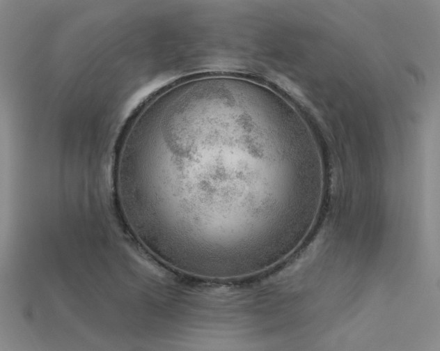 X0000115851222200911131544