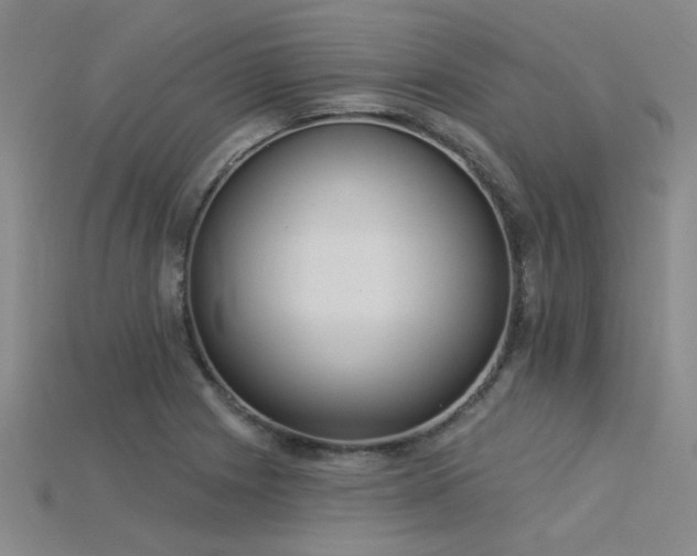 X0000115851225200911131544
