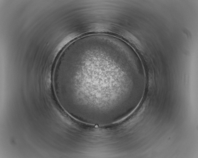 X0000115851226200911131544