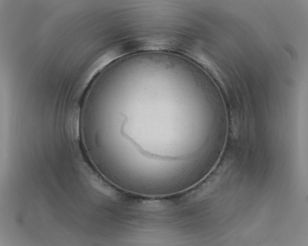 X0000115851227200911131544