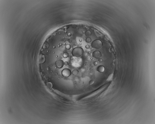 X0000115851231200911131545