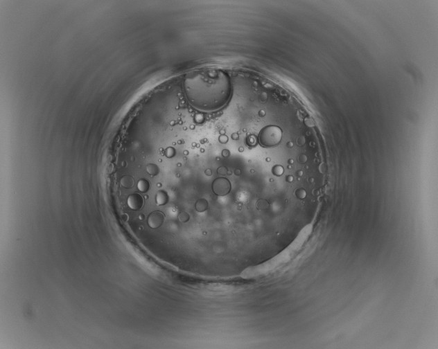 X0000115851235200911131545