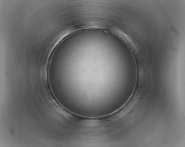 X0000115851236200911131545