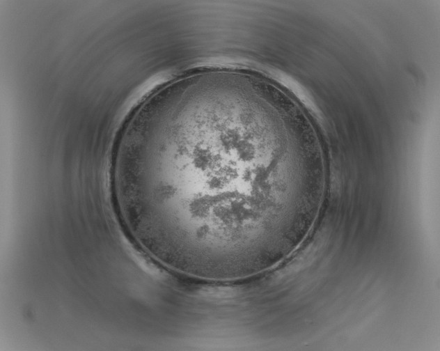X0000115851237200911131545
