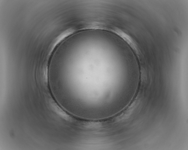 X0000115851238200911131545