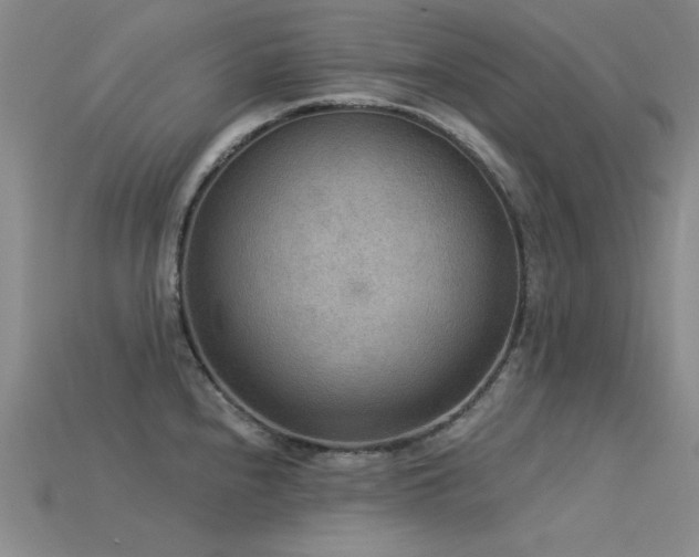 X0000115851240200911131545