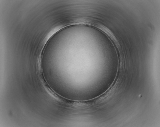 X0000115851242200911131545