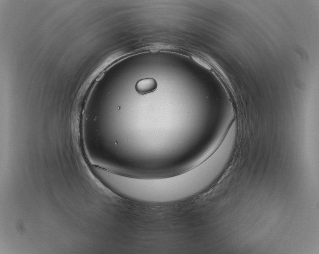 X0000115851243200911131545
