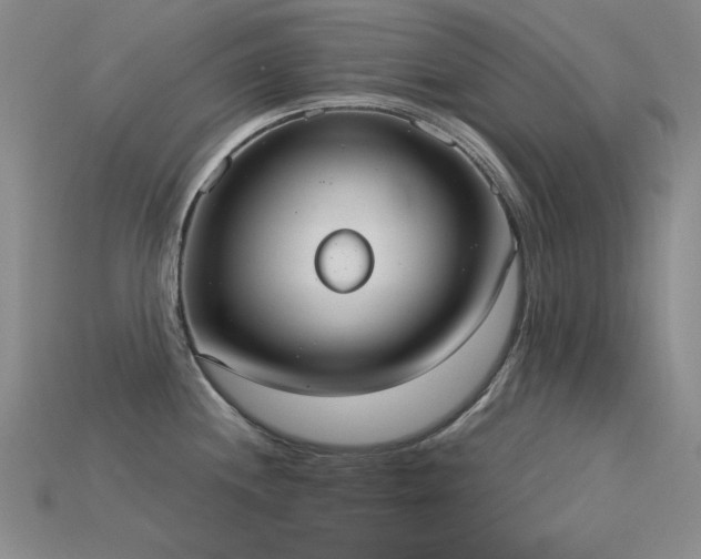 X0000115851244200911131545