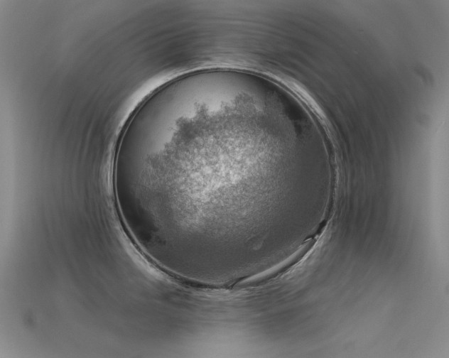 X0000115851246200911131545