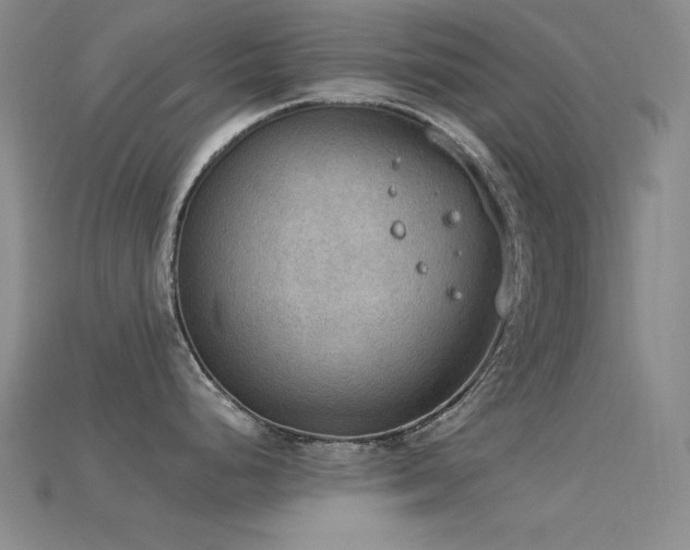 X0000115851248200911131545