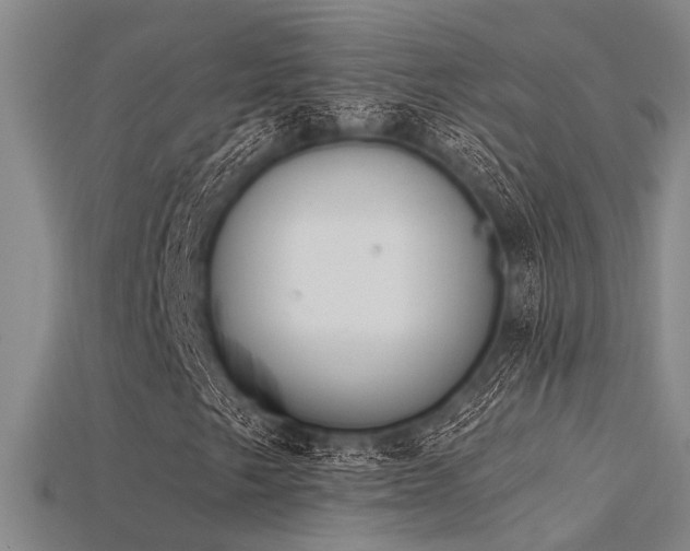 X0000115851249200911131544