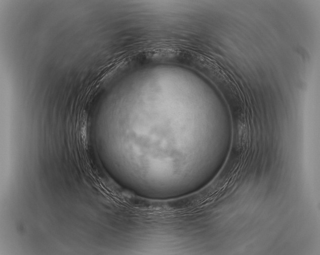 X0000115851250200911131544