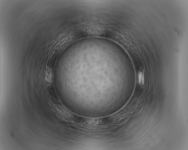 X0000115851251200911131544