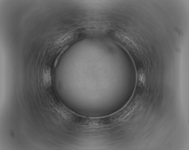 X0000115851252200911131544
