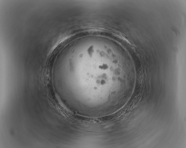 X0000115851255200911131544