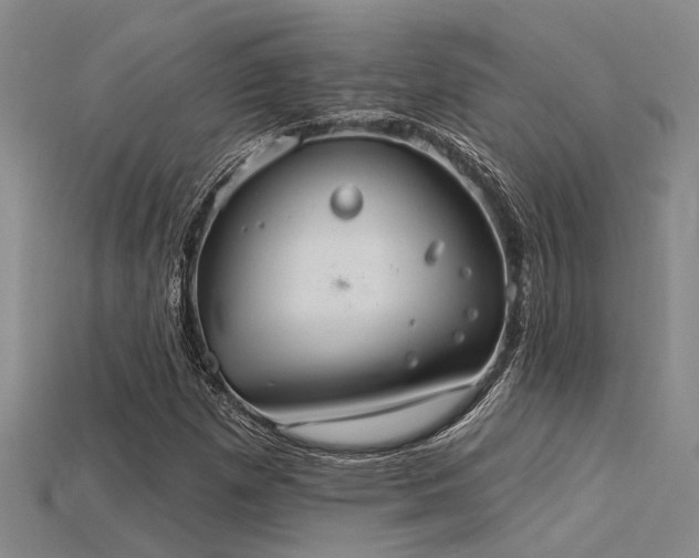 X0000115851257200911131544