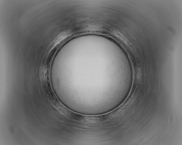 X0000115851258200911131544