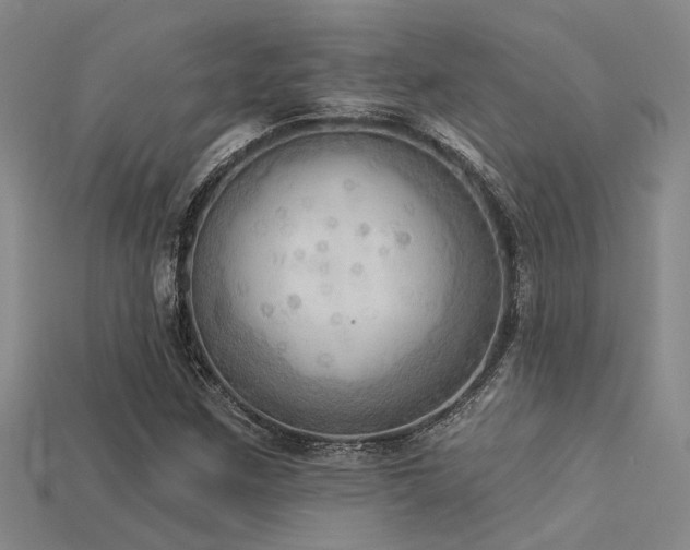 X0000115851259200911131544