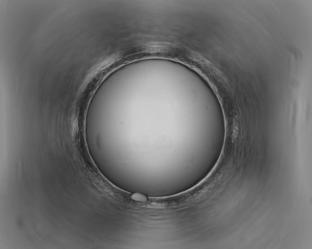 X0000115851261200911131544