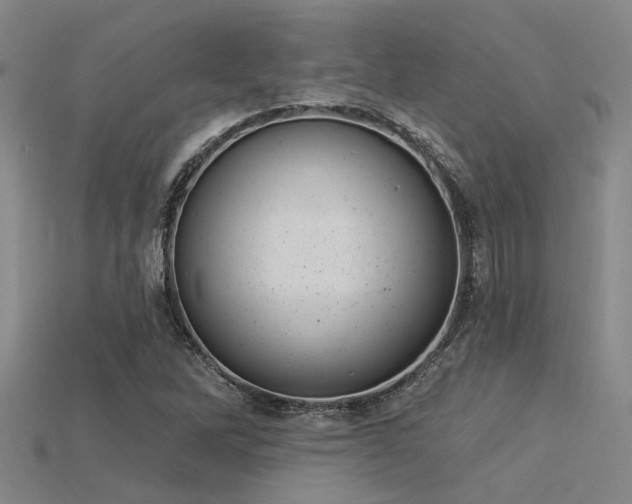 X0000115851262200911131544