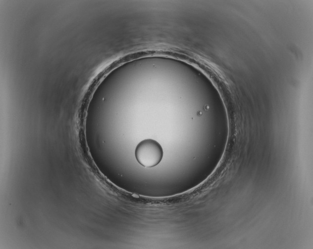 X0000115851264200911131544